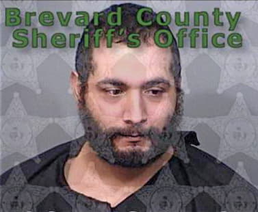 Tringle Henri - Brevard County, FL 