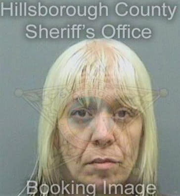 Rodriguez Vivian - Hillsborough County, FL 