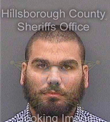 Suarezcaro Amaury - Hillsborough County, FL 