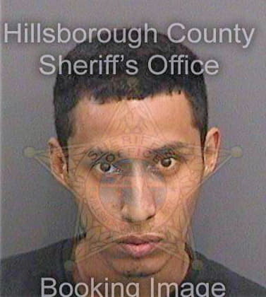 Hugee Jean - Hillsborough County, FL 