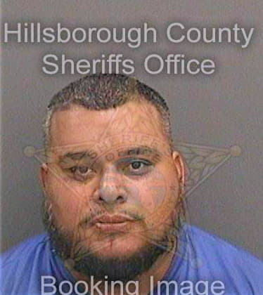 Arreola Juan - Hillsborough County, FL 