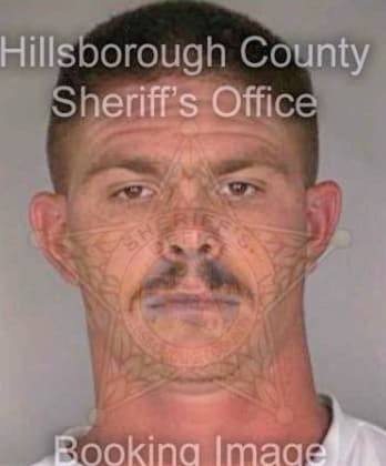 Langford Mervin - Hillsborough County, FL 