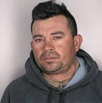 Mejia Carlos - Hillsborough County, FL 