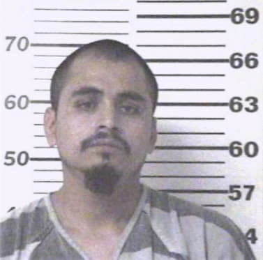 Leanos-Miranda Jose - Henderson County, TX 