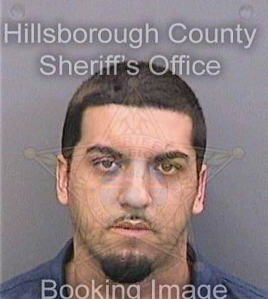 Burgos Luis - Hillsborough County, FL 