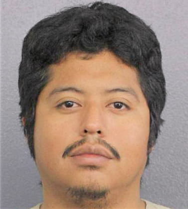 Martinez Brian - Broward County, FL 