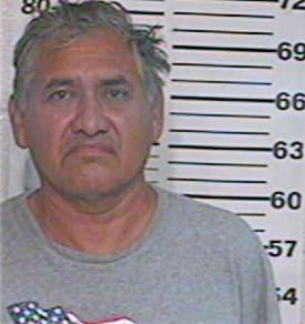 Hernandez Domingo - Hidalgo County, TX 
