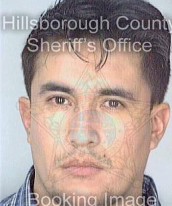 Solis Jorge - Hillsborough County, FL 