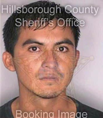Flores Jacob - Hillsborough County, FL 