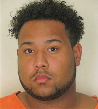 Marshall Nathan - Hillsborough County, FL 