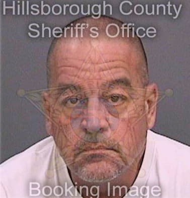 Stronza Paul - Hillsborough County, FL 