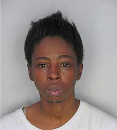 Hismith Darvette - Hillsborough County, FL 