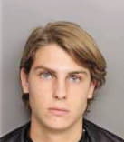 Harned David - Greenville County, SC 