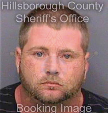 Morcom David - Hillsborough County, FL 