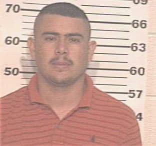 Meza Jose - Hidalgo County, TX 