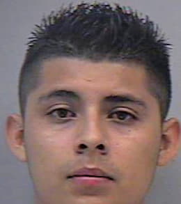 Montoya-Valdez Mario - Gwinnett County, GA 