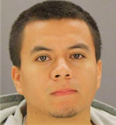 Deleon Ronny - Dallas County, TX 