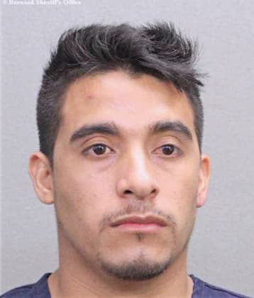 Hernandez Miguel - Broward County, FL 