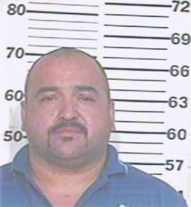 Fernandez Osbaldo - Hidalgo County, TX 