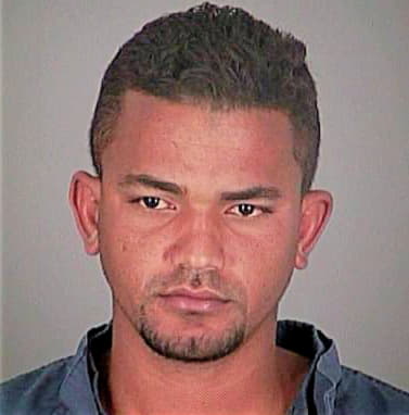 Carpio David - Pasco County, FL 