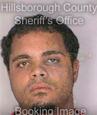 Fernandez Justin - Hillsborough County, FL 