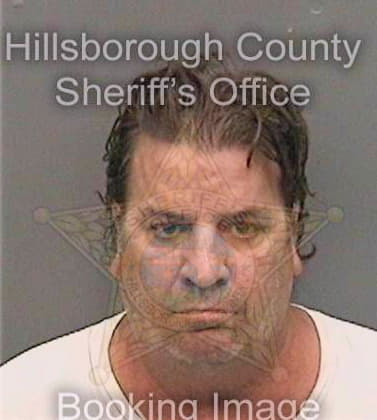Johnston David - Hillsborough County, FL 