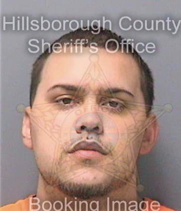 Vazquez Enzo - Hillsborough County, FL 