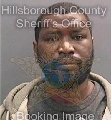 Brown James - Hillsborough County, FL 