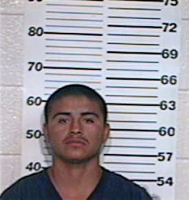 Alfaro Saul - Hidalgo County, TX 