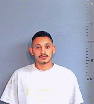 Diaz David - Brazos County, TX 
