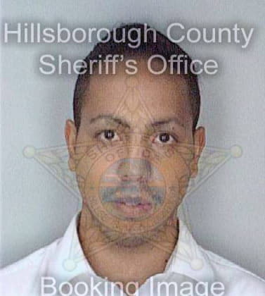 Perez Jason - Hillsborough County, FL 