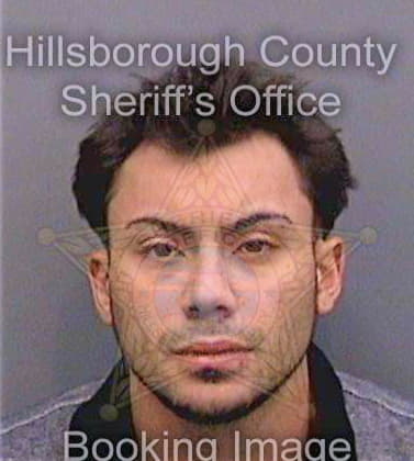 Colonalgarin Jose - Hillsborough County, FL 