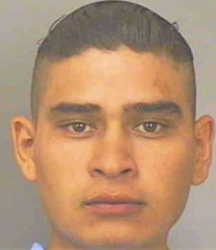 Linares Jose - Polk County, FL 