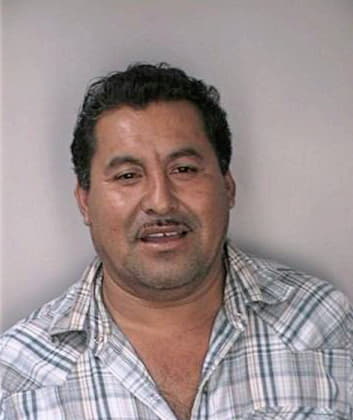 Dominguez Mayolo - Hillsborough County, FL 