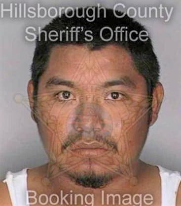 Montanez Santos - Hillsborough County, FL 