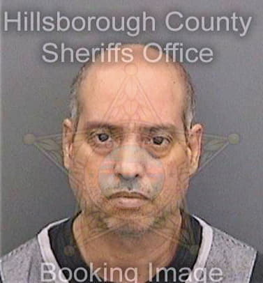 Robles Wilfredo - Hillsborough County, FL 
