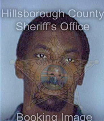 Scott David - Hillsborough County, FL 