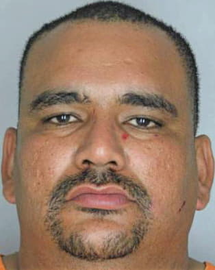 Villafane Eduardo - Hillsborough County, FL 