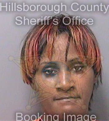 Pattersonwatson Eureka - Hillsborough County, FL 