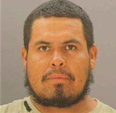 Herrerahernandez Fermin - Dallas County, TX 