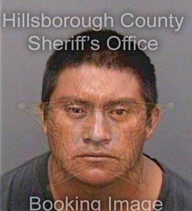 Perezhernandez Fernando - Hillsborough County, FL 