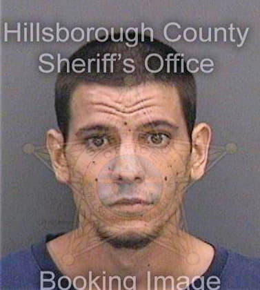 Serrano Ismael - Hillsborough County, FL 