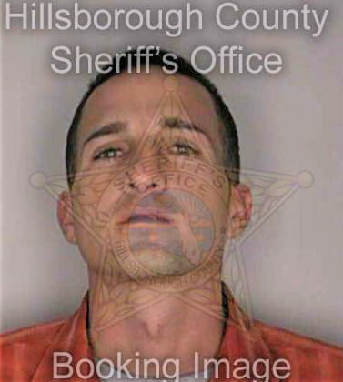 Diaz Joel - Hillsborough County, FL 