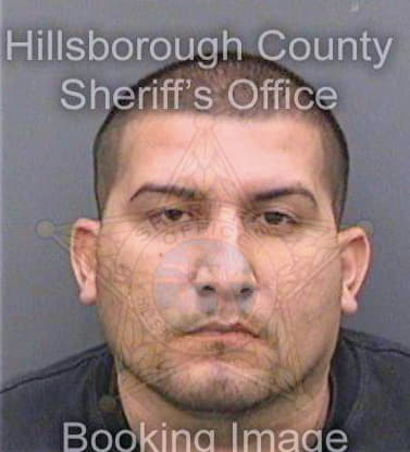 Guzman Juan - Hillsborough County, FL 