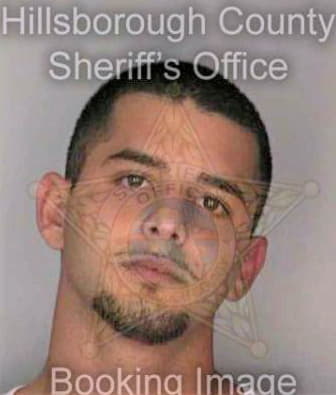 Bergery Raul - Hillsborough County, FL 