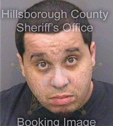 Mantilla Carlos - Hillsborough County, FL 