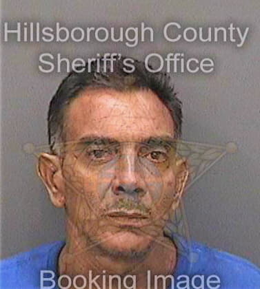 Ferrera Luis - Hillsborough County, FL 