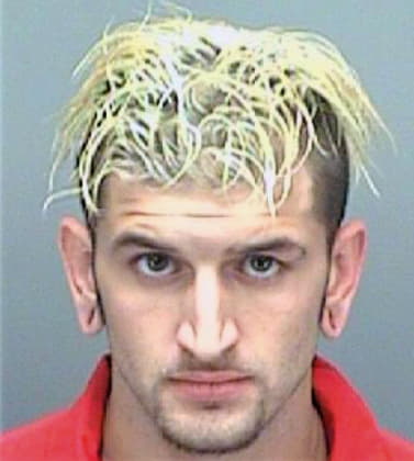 Thomas Brandon - Pinellas County, FL 