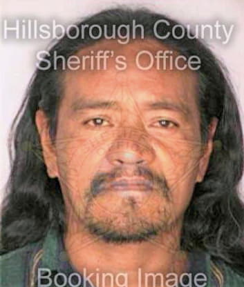 Hernandez Castillo - Hillsborough County, FL 