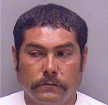 Castillo Celso - Lee County, FL 